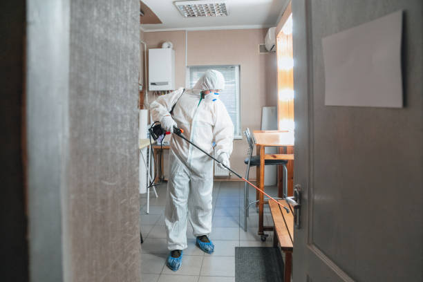 Best Crawl Space Mold Remediation  in Frankton, IN