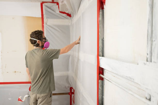 Best Air Quality Testing for Mold Spores  in Frankton, IN