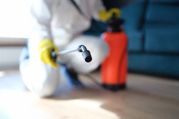 Best Commercial Mold Inspection  in Frankton, IN