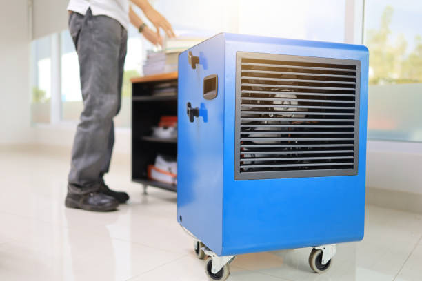 Best Airborne Mold Testing  in Frankton, IN